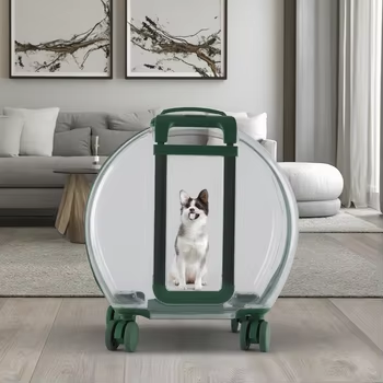 PC-trolley huisdierdraagbagage Transparante buitentas van hoge kwaliteit